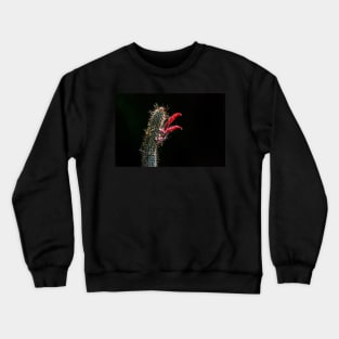 Spring Cactus with Red Blooms Crewneck Sweatshirt